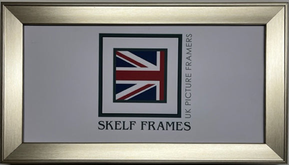 Panoramic Beveled Champagne Silver Frame