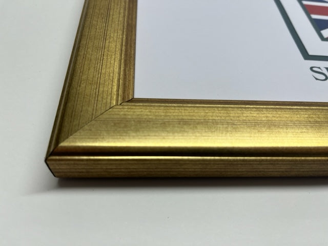 Panoramic Champagne Gold Frame