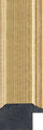 Panoramic Champagne Gold Frame