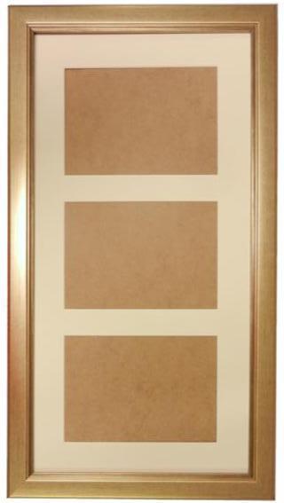 20 x10 Champagne Gold Frame