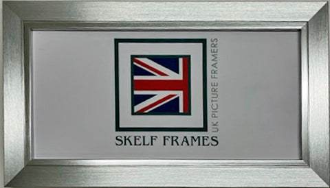 Panoramic Brush Silver with Silver Inlay Frame