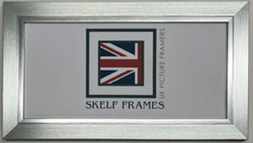 Panoramic Brush Silver with Silver Inlay Frame