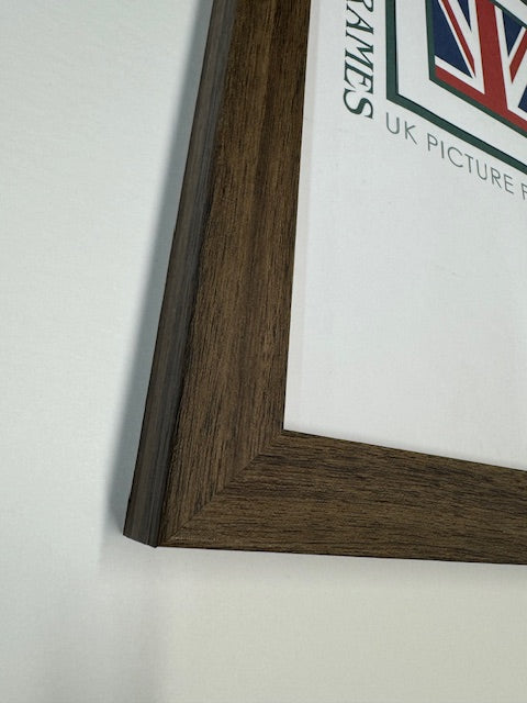 Brown Phoenix Foil Frame (A Sizes)