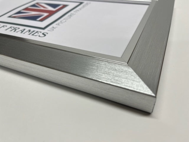 Panoramic Brush Silver with Silver Inlay Frame