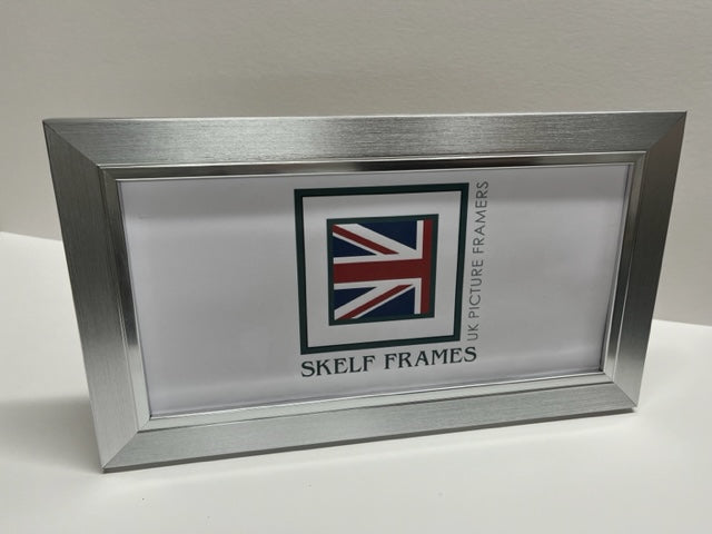 Panoramic Brush Silver with Silver Inlay Frame