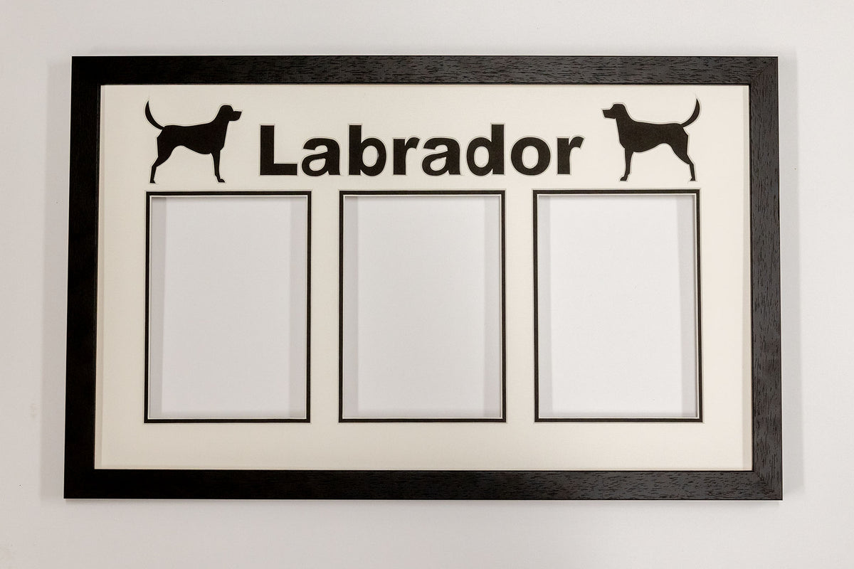 Labrador Phoenix Black Frame with Glass