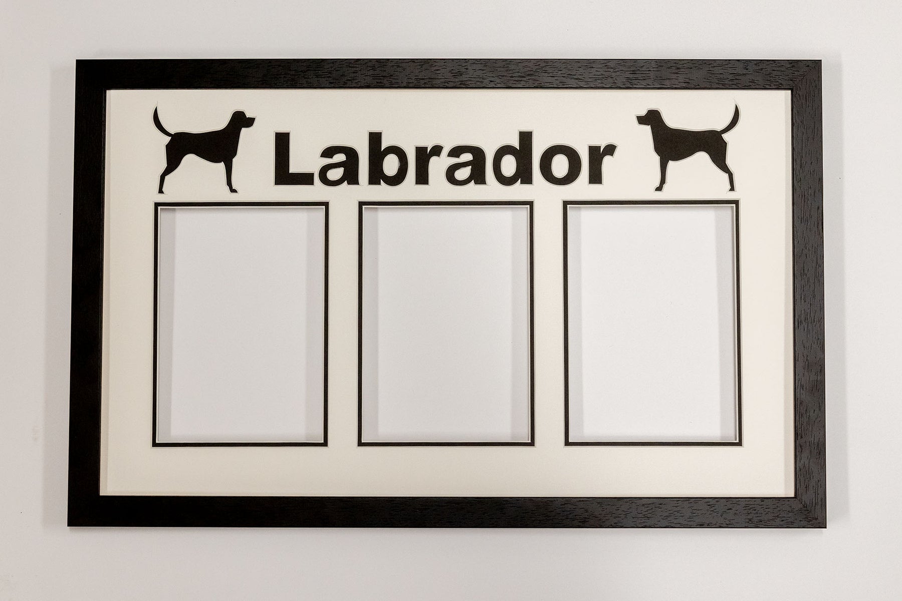 Labrador Phoenix Black Frame with Glass