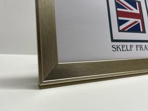 Panoramic Beveled Champagne Silver Frame