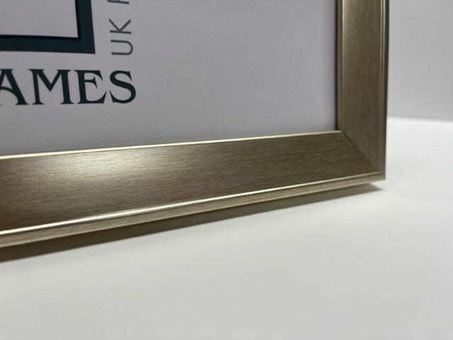 Panoramic Beveled Champagne Silver Frame