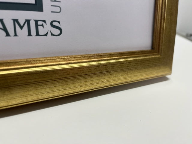 Panoramic Champagne Gold Frame