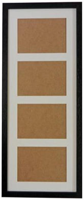 Phoenix 26x10 Frame